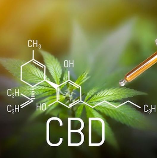 CBD Oil Business SEO Solutions