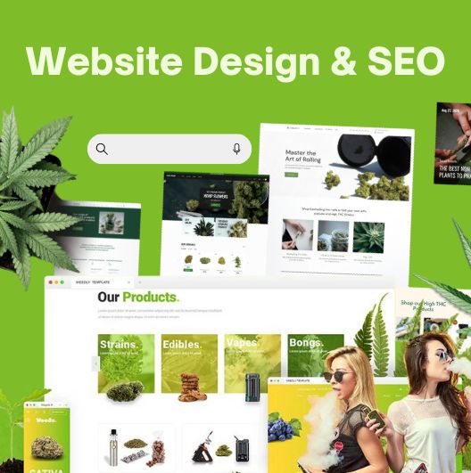 cbd web design & SEO Services