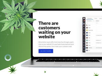 CBD Content Writing Services- From expert Writers