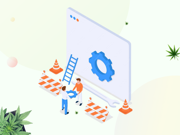 CBD Website Maintenance